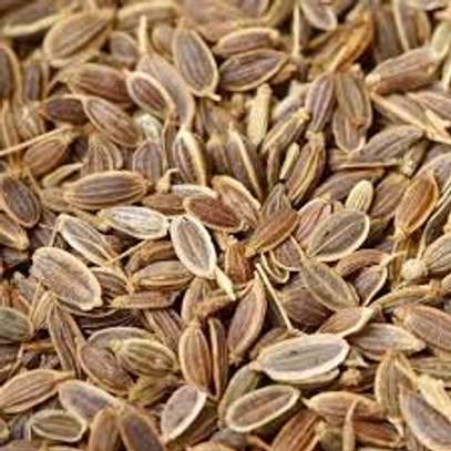 Dill Seeds image 1