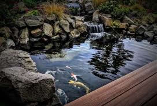 Bestcare Pond Maintenance & Cleaning Services– Nairobi image 1