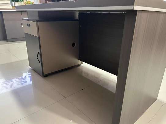 Office Desk: 1200MM Executive Office Desk image 2