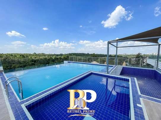 Furnished 4 Bed Apartment with En Suite in Spring Valley image 10