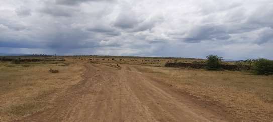 AN EXPANSIVE 4200 ACRES RANCH FOR SALE IN LAIKIPIA COUNTY image 3