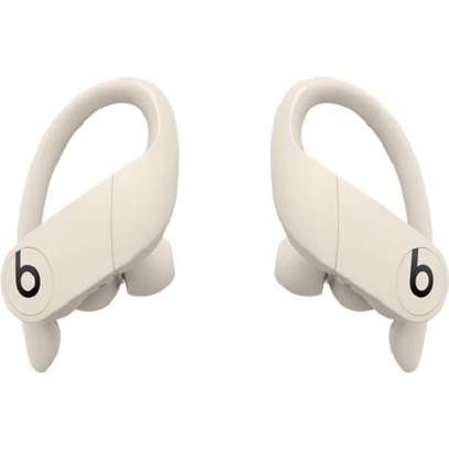 Beats by Dre Powerbeats Pro True Wireless Earbuds image 9