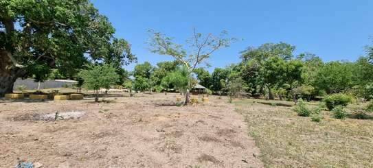 1,000 ft² Land at Kuruwitu image 20