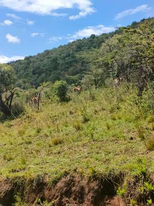 Land in Narok image 1