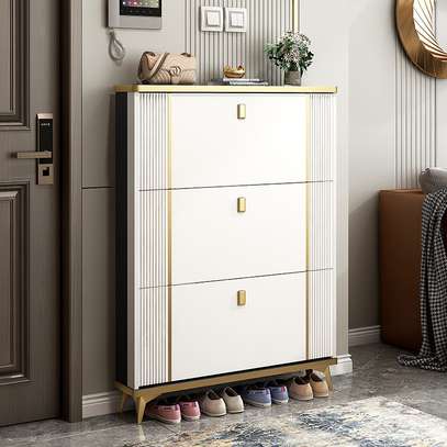 Office Cabinet : Modern Home Shoe Cabinet Storage image 1