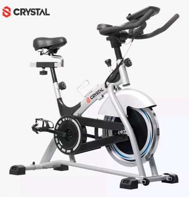 Spinning bikes (crystal) image 2