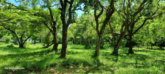 2.5 ac Land at Serena image 30