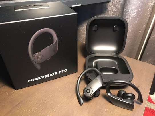 Beats by Dre Powerbeats Pro True Wireless Earbuds image 1