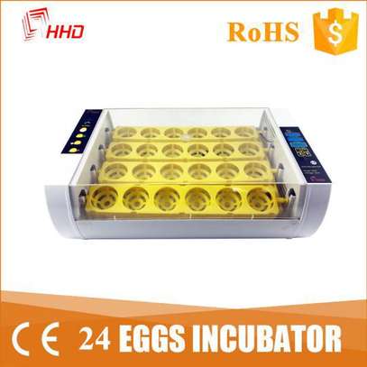 2023 New design 25 egg multifunctional incubator image 3