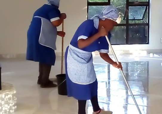 24 Hour Affordable & Reliable Cleaning & Domestic Services | Nannies and Babysitting | Domestic Workers | House Cleaning | Washing | Cooking | Ironing | Chefs | Gardeners |  Caregivers | Chauffeurs/Drivers | Security guards | Caregivers .Get A Free Quote Now.   image 1