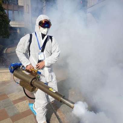 Fumigator Fogging Machine For Sale image 2