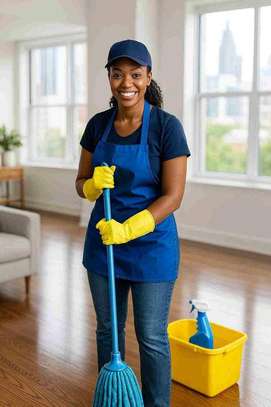 Apartment cleaning services image 1
