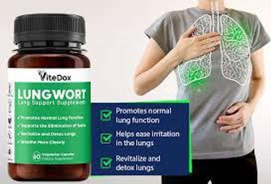 ViteDox Lungwort Supplement Capsules Capsules In Nairobi image 2