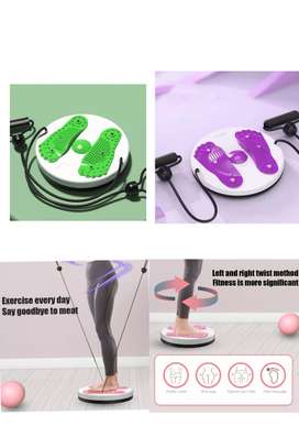 Yoga Twist Disc Plate image 6