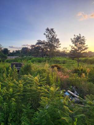 Land at Garden Estate Road image 5