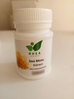 Sea Moss image 1