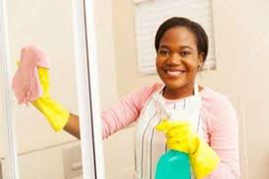 Best House Help Agency in Nairobi - Cleaners,Gardeners & Domestic Workers Kenya. image 7
