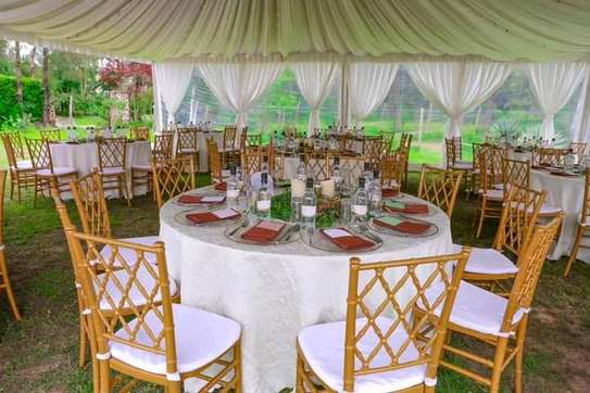 Event tents,chairs tables and decor image 12