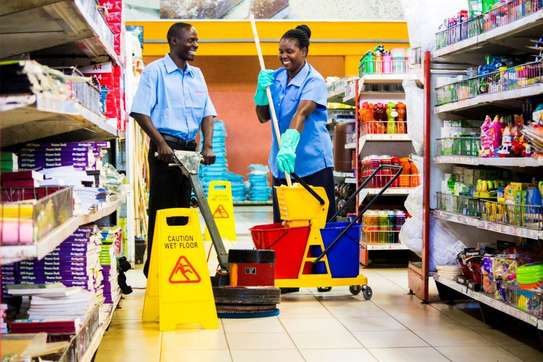 Find Top Rated Cleaners In Nairobi image 2