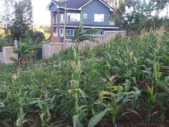 Beautiful one eighth plots in Ngong image 7