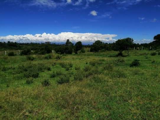 5,000 m² Land at Nanyuki Mount Kenya View image 8