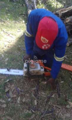 Trusted & Vetted Gardeners Recruitment Agency Kenya image 7