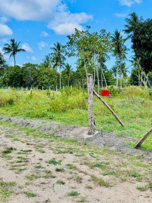 0.045 ha Land at Diani image 8