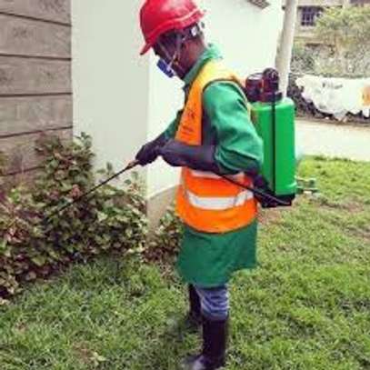 Fumigation and Pest Control Services Githurai image 1