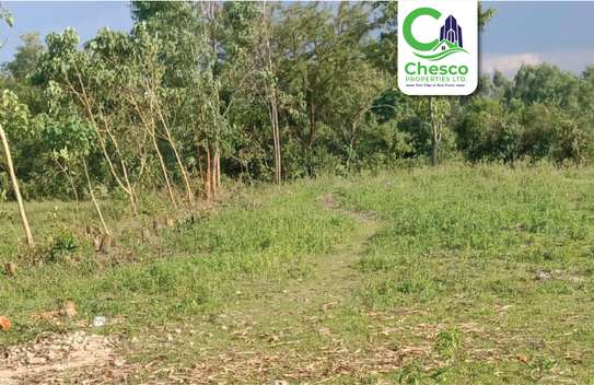 2 acres for sale Kibabii(Bungoma) image 4