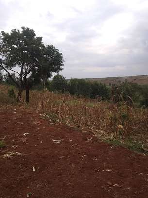 40X80ft PLOTS FOR SALE AT KABATI ZABKA IN MURANGA COUNTY image 11