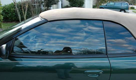 Window Tint Different Shades | Window Tint and Window Film Services in Nairobi.Get a Free quote for a window film today ! image 4