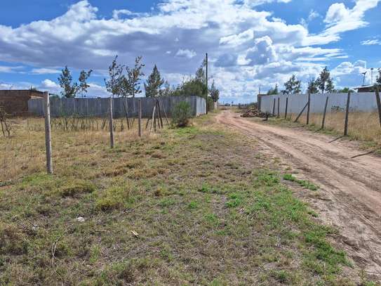 1/8 Acre land for Sale inJoska near Sunshine Junction image 5
