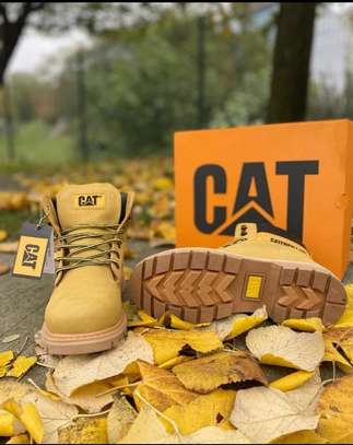 Caterpillar hotsell shoes mk
