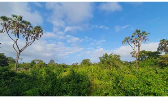 Residential Land in Diani image 4