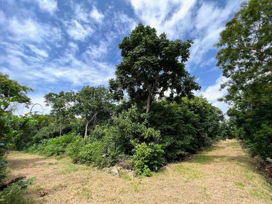 Residential Land in Diani image 10