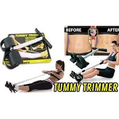 Abs exercise spring tummy trimmer image 1