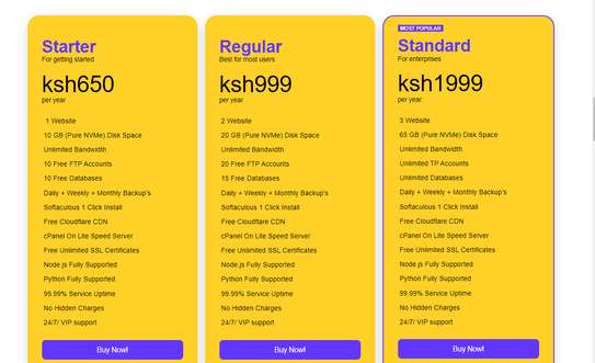 Best Web Hosting In Kenya image 1