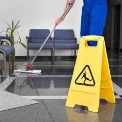 Sofa,Carpet & Home Cleaning Services In Lavington,In Nairobi image 10