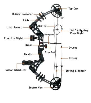 Compound bow image 5