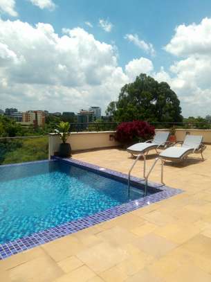 3 Bed Apartment with En Suite at Rhapta Road image 5