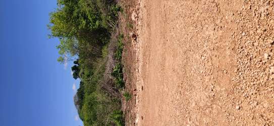 2 acres for sale Kinondo , Kwale county image 3