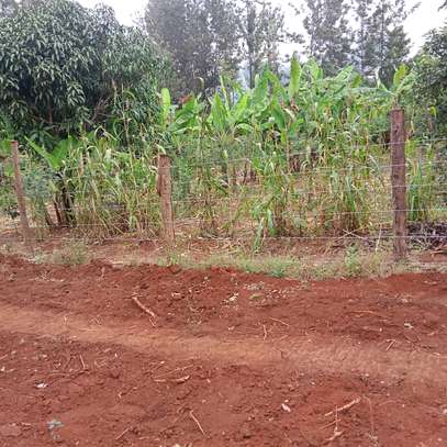 50x100ft plots for sale at Makuyu in Murang'a county image 8