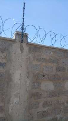 razor wire in kenya image 3