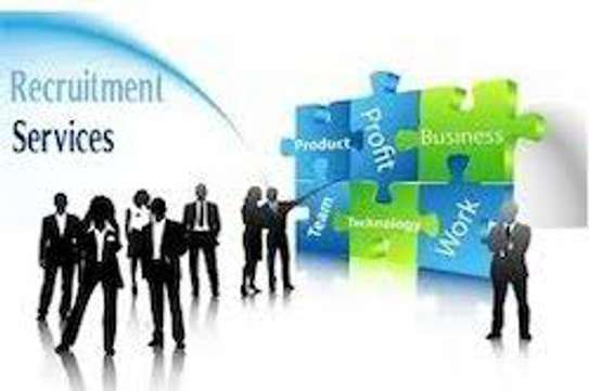 Executive Sales & Marketing Recruitment Agency image 1