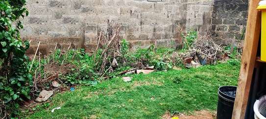 3 Bed Villa with En Suite at Villa Franca Estate image 4