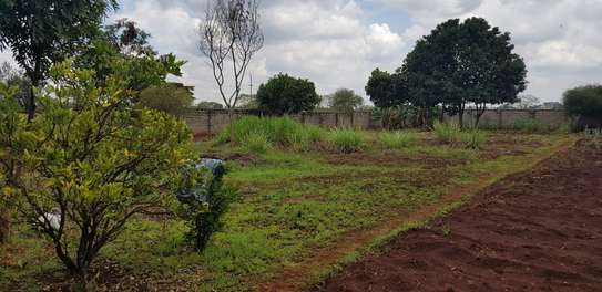 0.5 ac Residential Land at Hibiscus Drive image 6