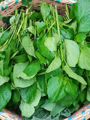 Organic Mixed Vegetable Seedlings Healthy & Ready image 2