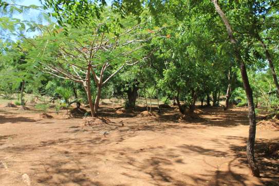 2 ac Land in Kilifi image 2