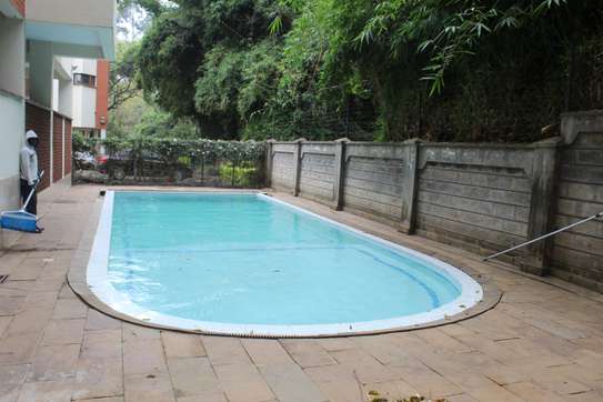 Furnished 1 Bed Apartment with Swimming Pool at Kolobot Road image 9