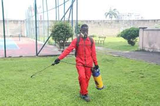 Fumigation and Pest Control Services Highridge image 6